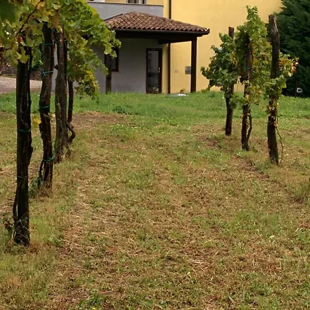 Small House In Valley Casa vacanze *