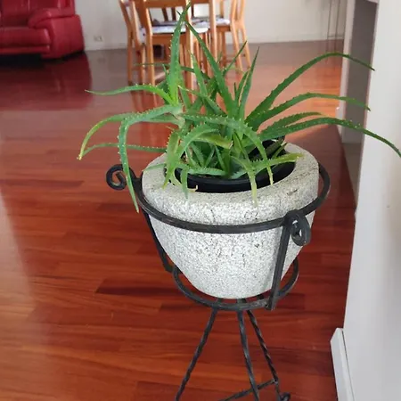 Small House In Valley Vikendica Vipava