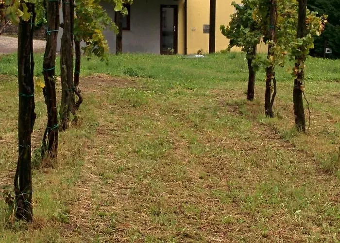 Small House In Valley Holiday home *