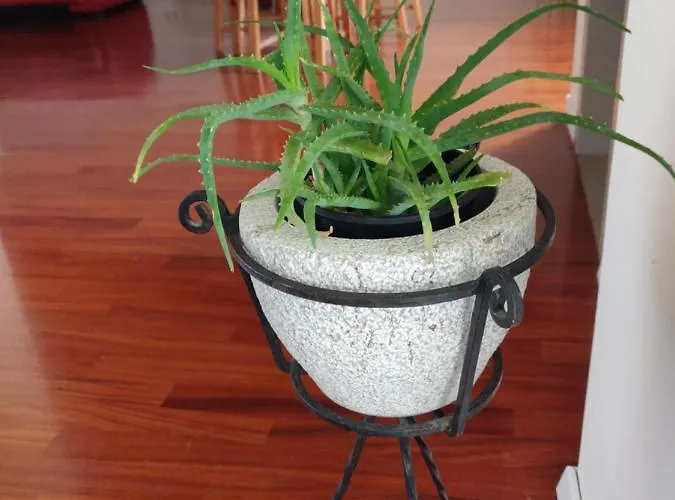 Small House In Valley Holiday home Vipava